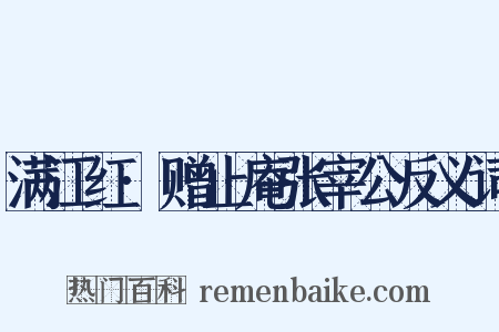 满江红·赠止庵张宰公反义词是什么意思的图片